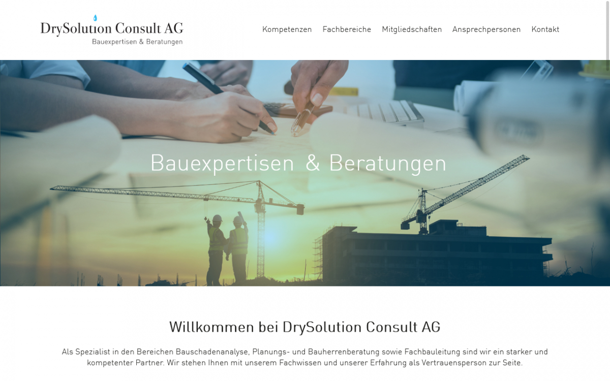 Webdesign Referenz DrySolution Consult AG
